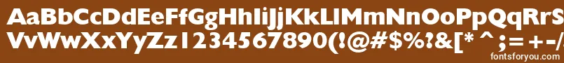 Czcionka Humanist521ExtraBoldBt – białe czcionki na brązowym tle