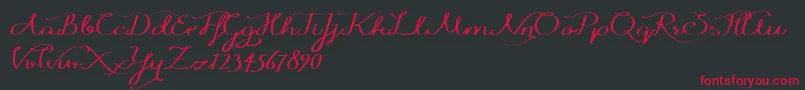 Windyraindemo Font – Red Fonts on Black Background