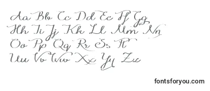 Обзор шрифта Windyraindemo