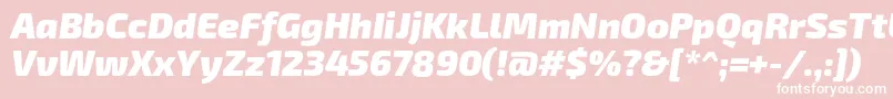 Exo2Blackitalic Font – White Fonts on Pink Background