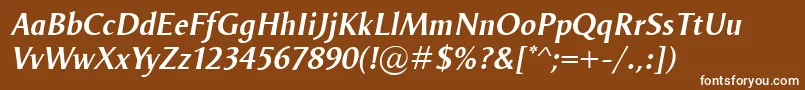 フォントOdenseDemiItalic – 茶色の背景に白い文字