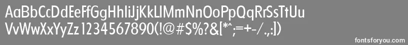 FloridaserialRegular Font – White Fonts on Gray Background