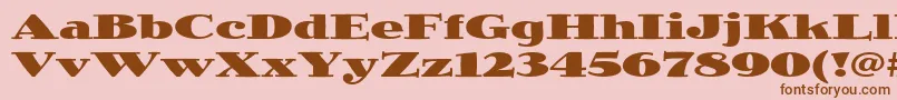 JimbostdBlackexpanded Font – Brown Fonts on Pink Background