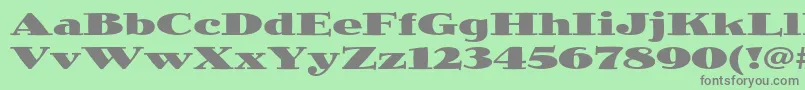JimbostdBlackexpanded Font – Gray Fonts on Green Background