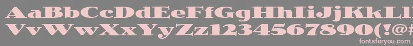 JimbostdBlackexpanded Font – Pink Fonts on Gray Background