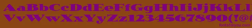 JimbostdBlackexpanded Font – Purple Fonts on Brown Background