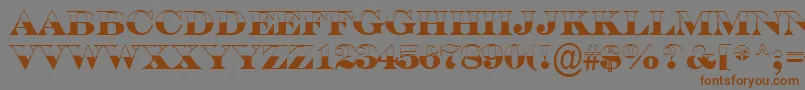 ASerifertitulbwBold Font – Brown Fonts on Gray Background