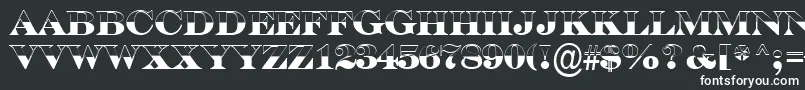 ASerifertitulbwBold-fontti – valkoiset fontit mustalla taustalla