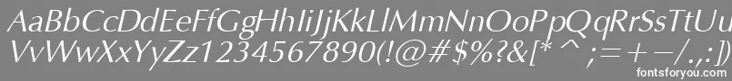 フォントOpmO – 灰色の背景に白い文字