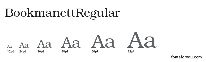 Размеры шрифта BookmancttRegular