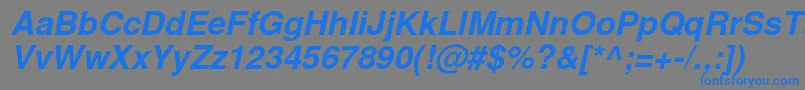 NimbussanlBolita Font – Blue Fonts on Gray Background
