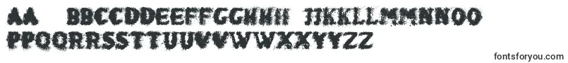 ShakenCoffeeBold Font – Romanian Fonts