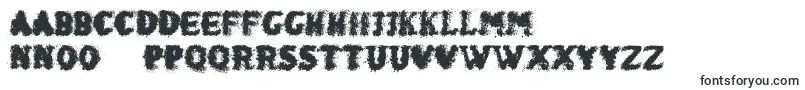 ShakenCoffeeBold Font – Polish Fonts
