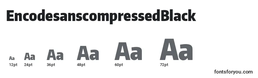 Размеры шрифта EncodesanscompressedBlack