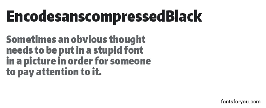 EncodesanscompressedBlack Font
