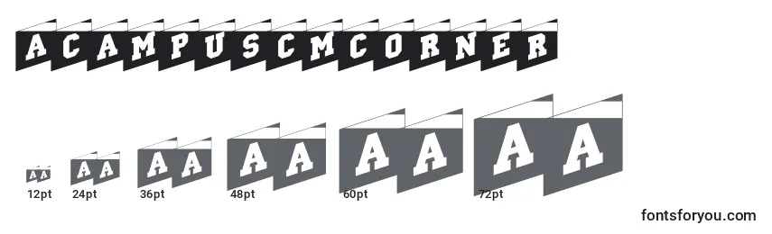 ACampuscmcorner-fontin koot