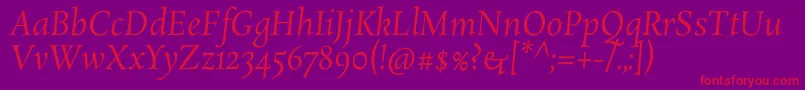 RosarivoItalic Font – Red Fonts on Purple Background