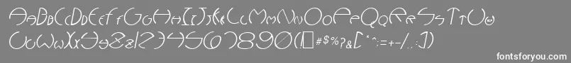 NarcosisOblique Font – White Fonts on Gray Background