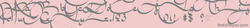 Czcionka AmalScriptBold – szare czcionki na różowym tle