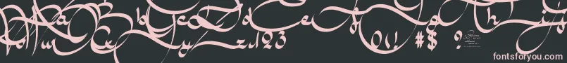 AmalScriptBold Font – Pink Fonts on Black Background