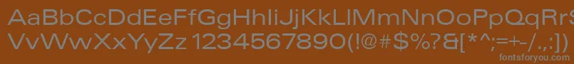 フォントUniqueExtended – 茶色の背景に灰色の文字