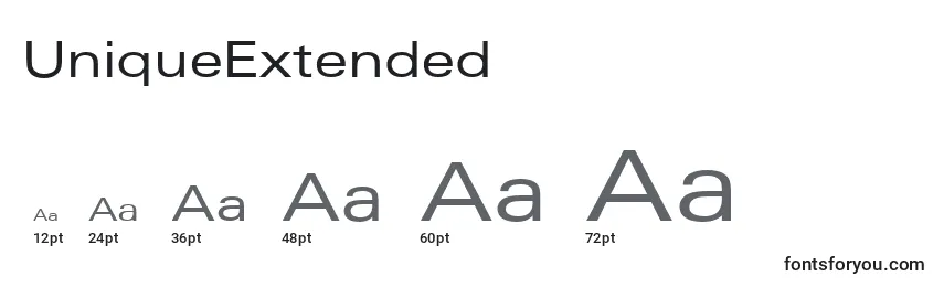 UniqueExtended Font Sizes