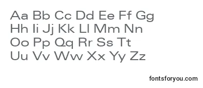 UniqueExtended Font