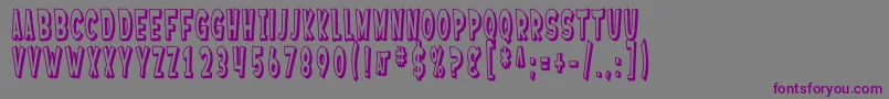 SfFerretopiaShaded Font – Purple Fonts on Gray Background