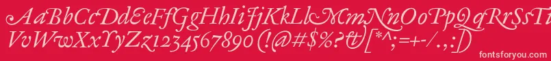 AntiqueAncienneItalic Font – Pink Fonts on Red Background