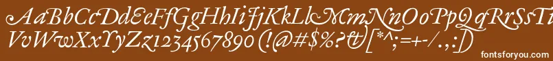 フォントAntiqueAncienneItalic – 茶色の背景に白い文字