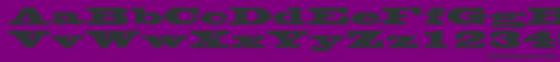 WantedpostersskRegular Font – Black Fonts on Purple Background