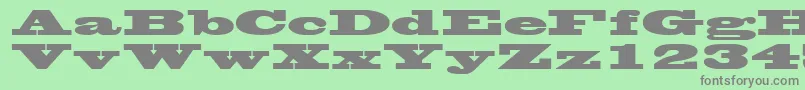 WantedpostersskRegular Font – Gray Fonts on Green Background