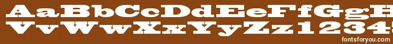 WantedpostersskRegular Font – White Fonts on Brown Background