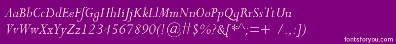 PerpetuaMtItalic Font – Pink Fonts on Purple Background