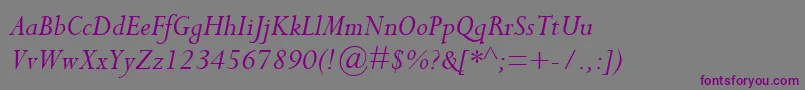 Czcionka PerpetuaMtItalic – fioletowe czcionki na szarym tle