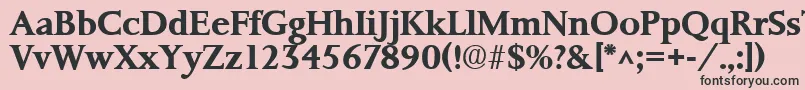 PalermoSfBold Font – Black Fonts on Pink Background