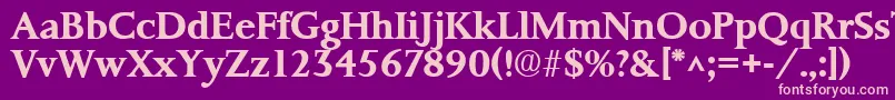 PalermoSfBold Font – Pink Fonts on Purple Background