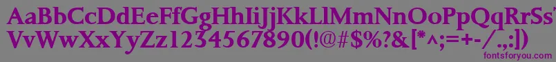 PalermoSfBold Font – Purple Fonts on Gray Background
