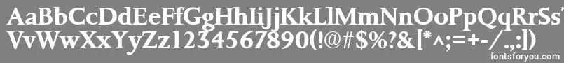 PalermoSfBold Font – White Fonts on Gray Background