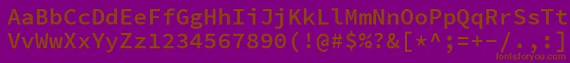 SourcecodeproSemibold-Schriftart – Braune Schriften auf violettem Hintergrund