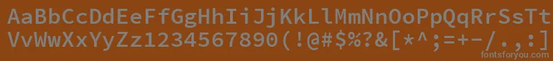 フォントSourcecodeproSemibold – 茶色の背景に灰色の文字