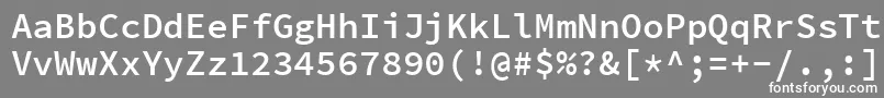 SourcecodeproSemibold Font – White Fonts on Gray Background