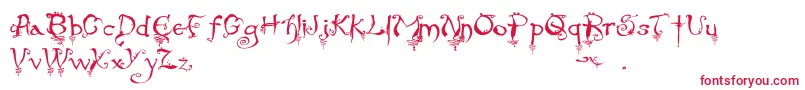 EvernightStargazer Font – Red Fonts on White Background