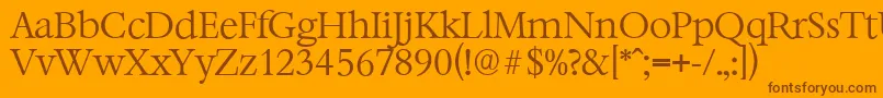 BernsteinserialLightRegular Font – Brown Fonts on Orange Background