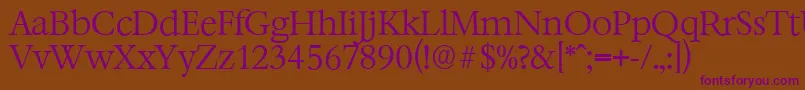 BernsteinserialLightRegular Font – Purple Fonts on Brown Background