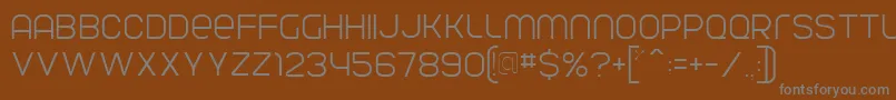 ParvoflavinLight Font – Gray Fonts on Brown Background