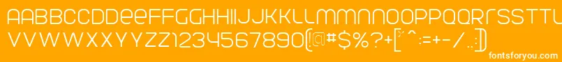 ParvoflavinLight Font – White Fonts on Orange Background