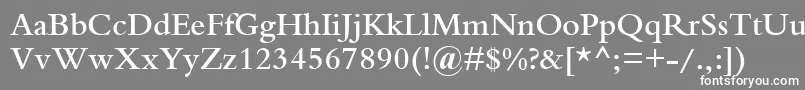 フォントBemboSemiBold – 灰色の背景に白い文字