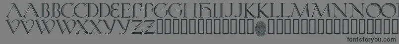KochRivoli-Schriftart – Schwarze Schriften auf grauem Hintergrund