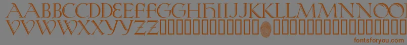 KochRivoli Font – Brown Fonts on Gray Background